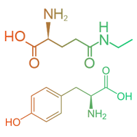 nootropique l-theanine l-tyrosine